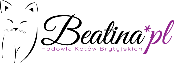 Beatina*PL — hodowla kotów brytyjskich