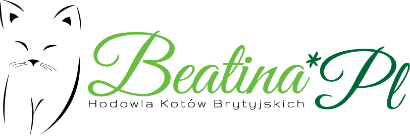 Beatina - Hodowla Kotów Brytyjskich